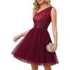 Tulle Burgundy