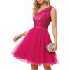 Tulle Hot Pink