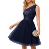 Tulle Navy