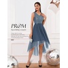 image:imageBeryLove Women Homecoming Cocktail Dress Lace Formal Wedding Guest Party  High Low Dress with V Back for Holiday Prom Elegant Pick for Wedding Guest Evening and Mother of the Bride OccasionsTulle Sequin Grey Blue