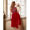image:imageBeryLove Women Homecoming Cocktail Dress Lace Formal Wedding Guest Party  High Low Dress with V Back for Holiday Prom Elegant Pick for Wedding Guest Evening and Mother of the Bride OccasionsTulle Sequin Red