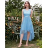 image:imageBeryLove Women Homecoming Cocktail Dress Lace Formal Wedding Guest Party  High Low Dress with V Back for Holiday Prom Elegant Pick for Wedding Guest Evening and Mother of the Bride OccasionsTulle Sequin Lightblue