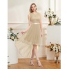 image:imageBeryLove Women Homecoming Cocktail Dress Lace Formal Wedding Guest Party  High Low Dress with V Back for Holiday Prom Elegant Pick for Wedding Guest Evening and Mother of the Bride OccasionsChampagne
